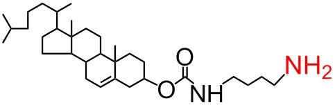 CHOL-NH2 